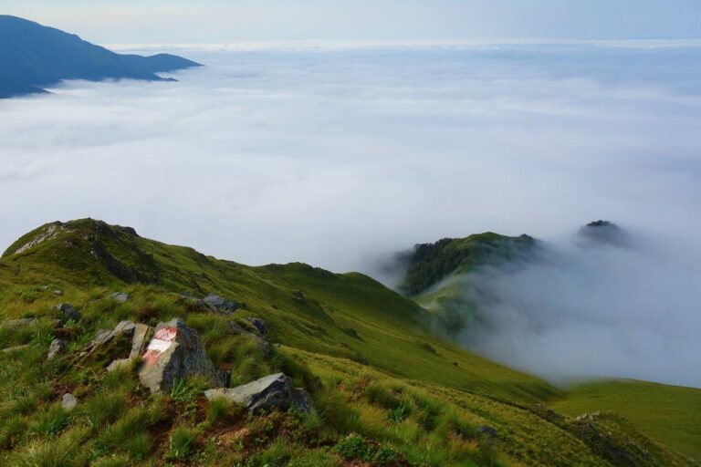 Eco-Friendly Georgia Tour: Tbilisi, Lagodekhi, Borjomi, Batumi & More - 12 Days