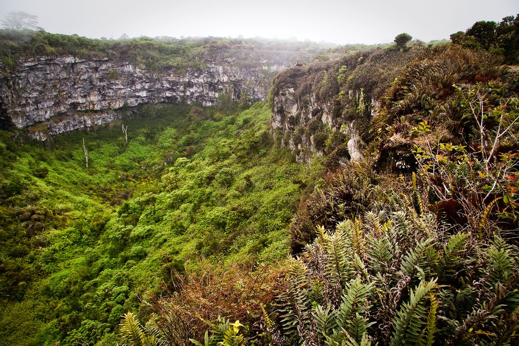 Twin Craters, Santa Cruz island