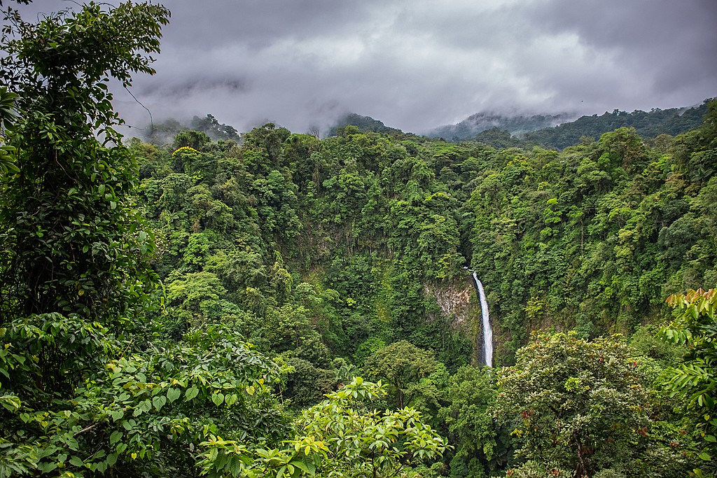 The beautiful La Fortuna Waterfall.