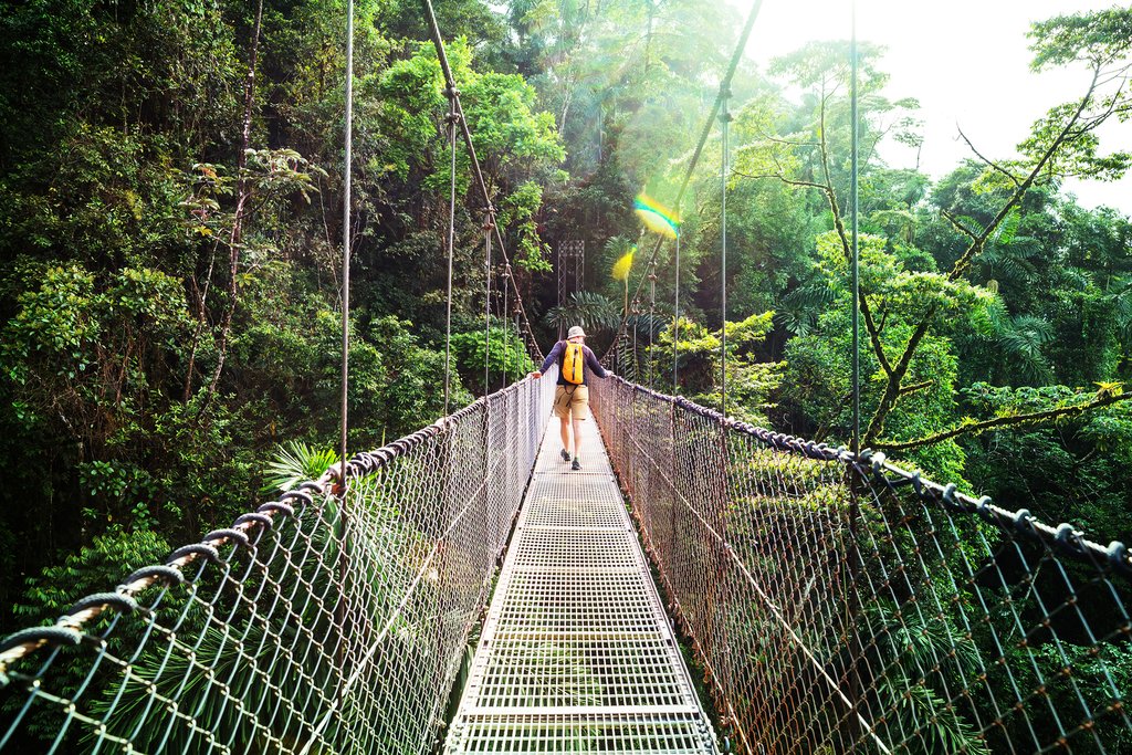Hiking in Monteverde Cloud Forest