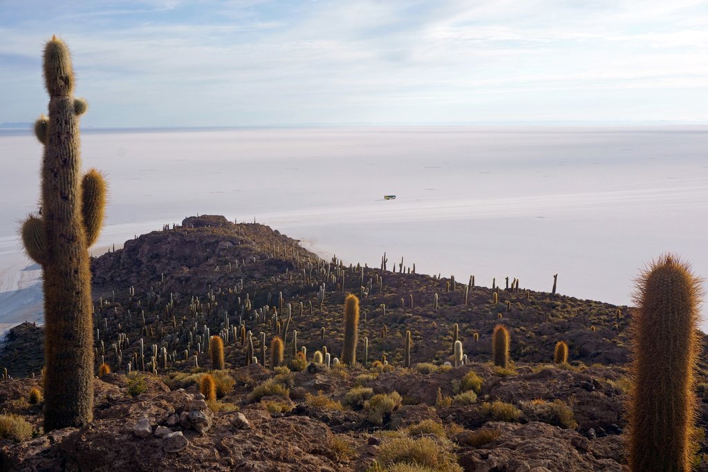 View of the salt flats from Incahuasi Island