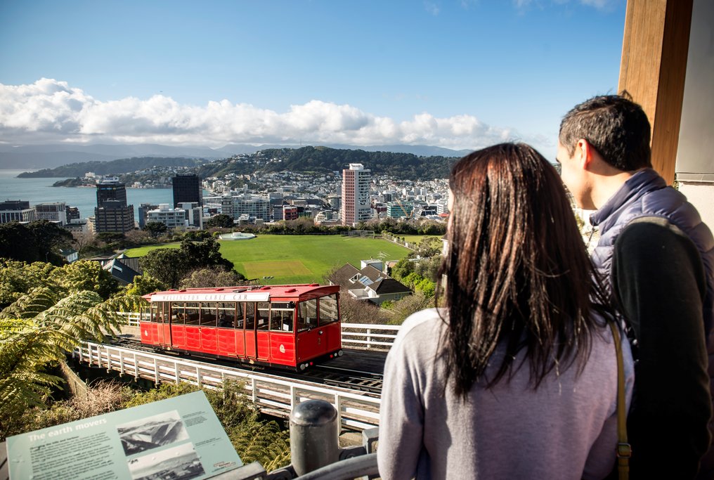 Wellington Sightseeing