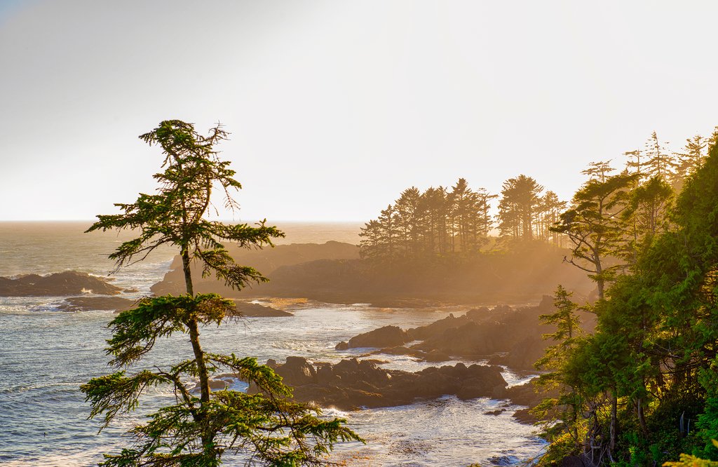 Wild Pacific Trail at sunset