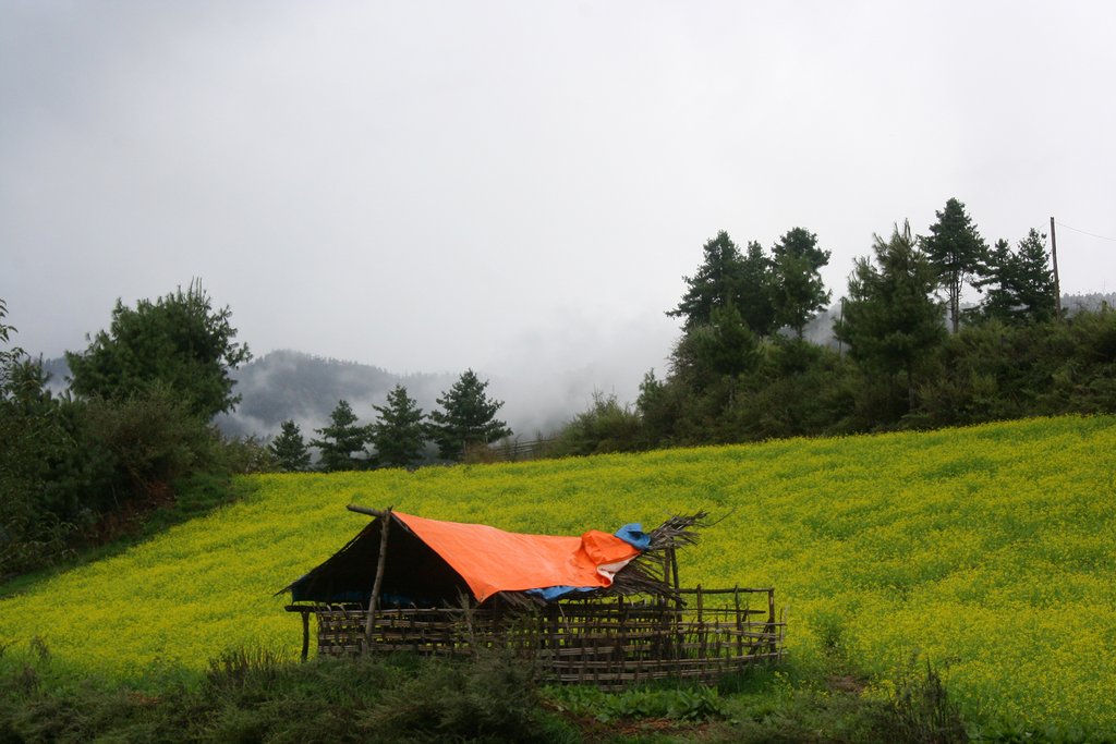 Sephy Village