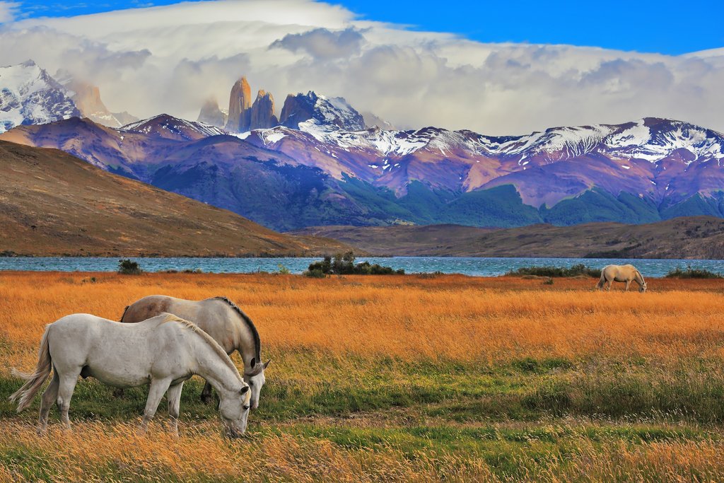 Laguna Azul, Torres del Paine