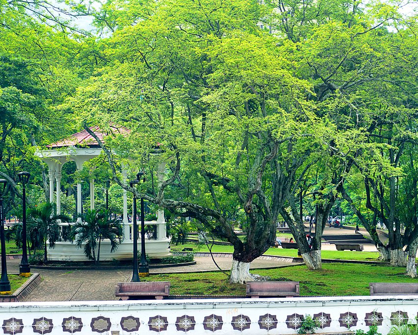 Leafy park in Cali