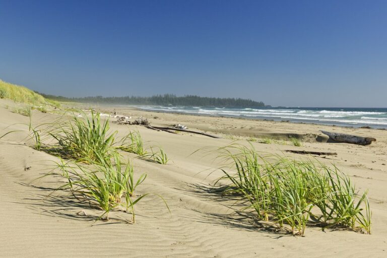 Pacific Rim Adventure: Vancouver to Tofino - 7 Days