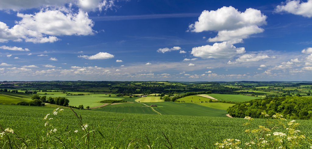 Views across Blackmore Vale.