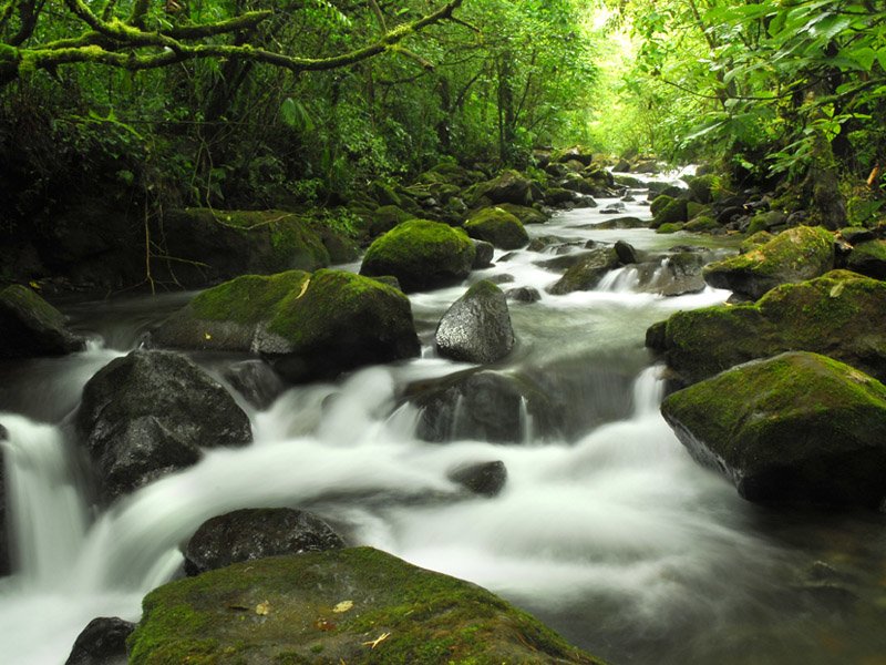 On the path to waterfalls