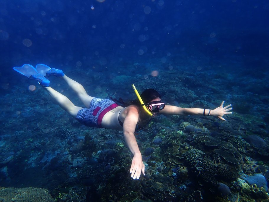Checking out the reef