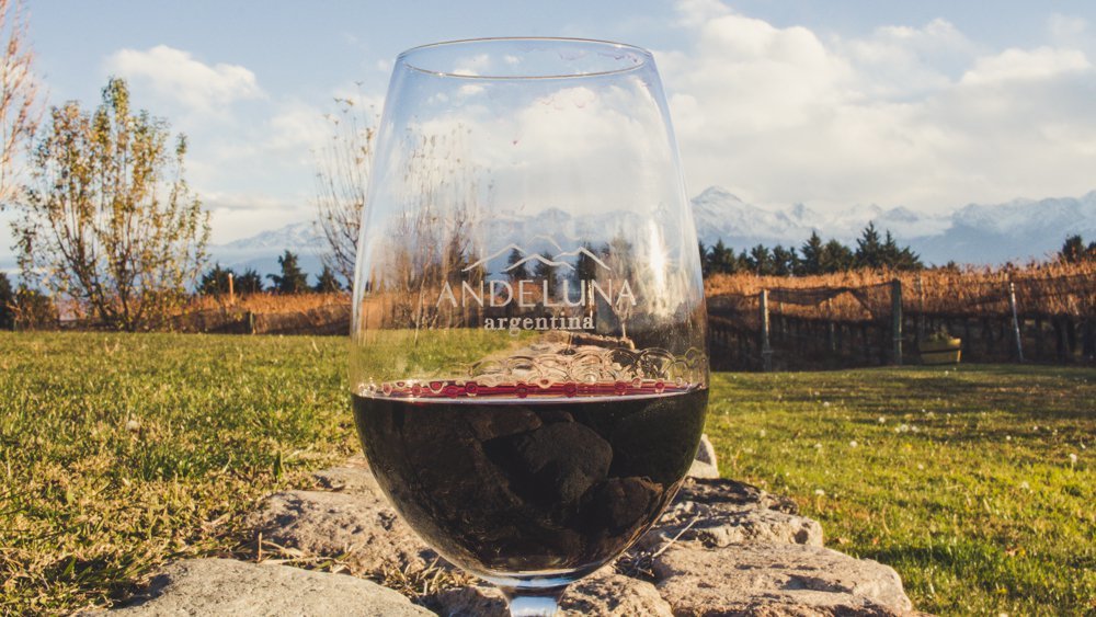 A glass of red wine in a perfect setting