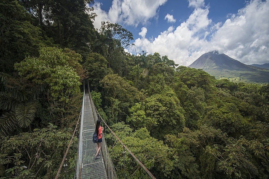Arenal Hanging Bridges