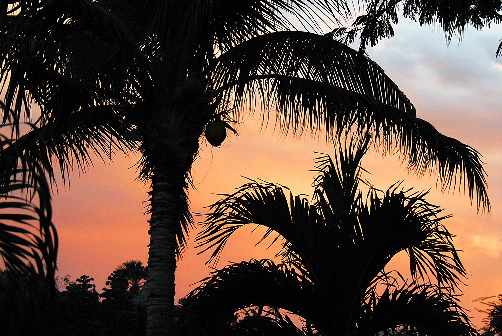 Sunset in Tayrona