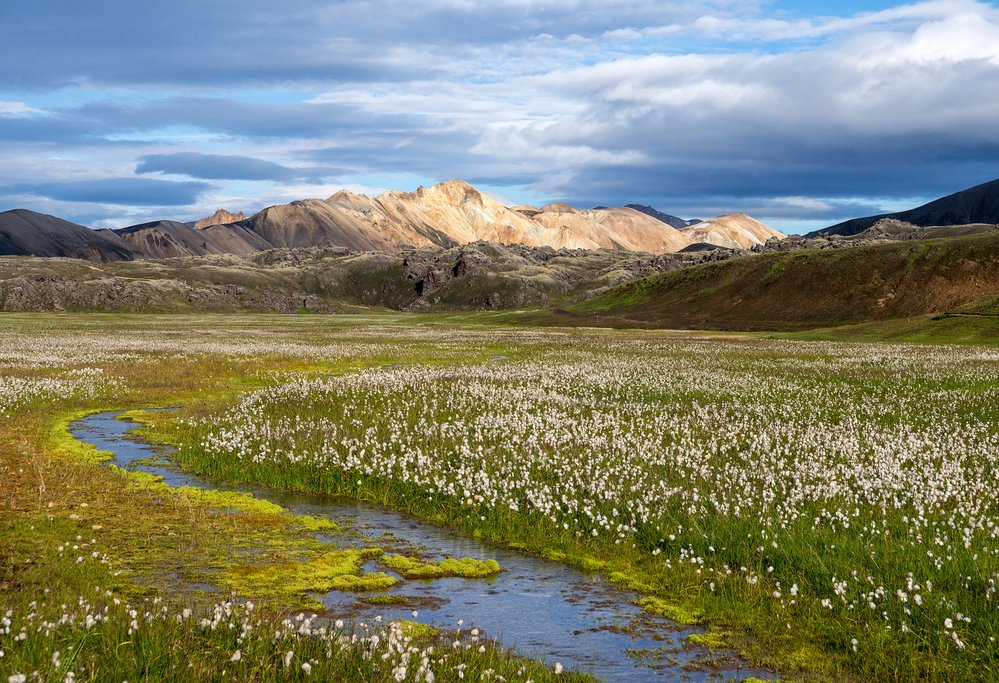 Volcanic mountains of Landmannalaugar in Fjallabak Nature Reserve