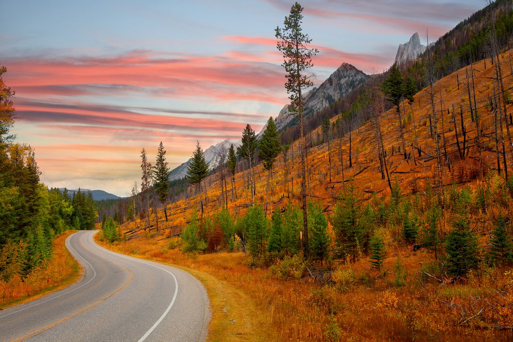 Fall colors along the Bow Valley Parkway