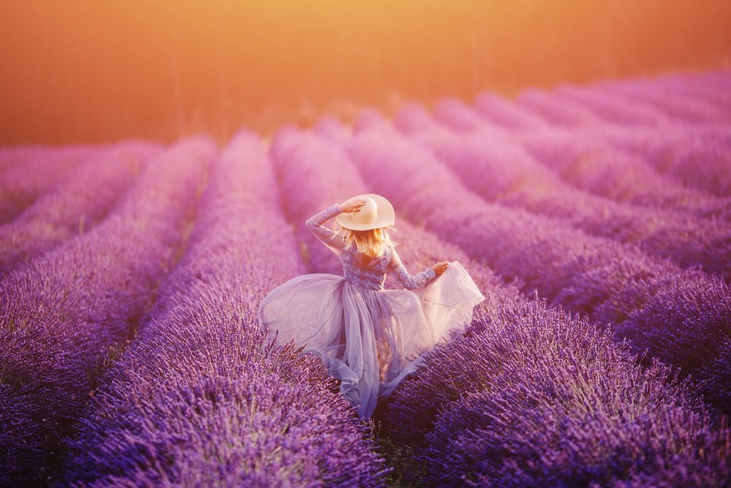 Say goodbye to Provence
