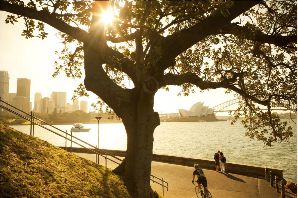Sydney Harbour and Opera House