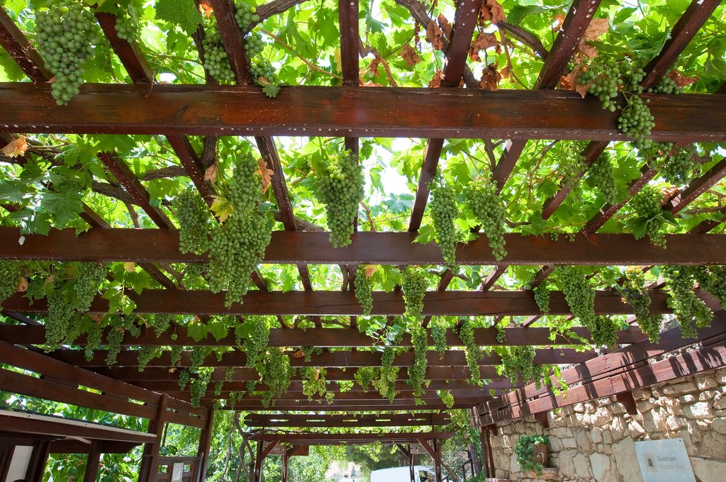 Winery on Crete