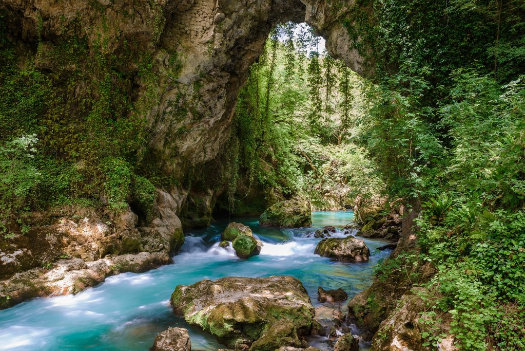 Forest stream