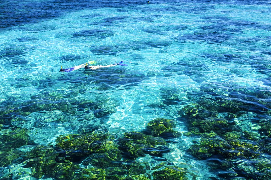 Barrier Reef