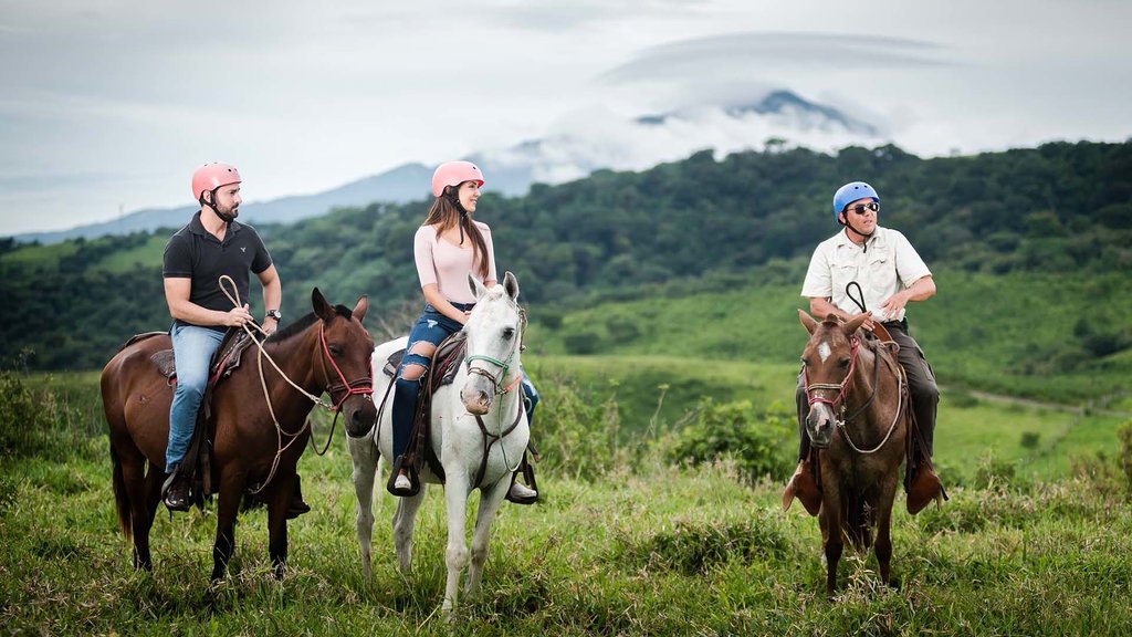 Horseback Riding to  Las Pailas & La Oropendola Waterfall