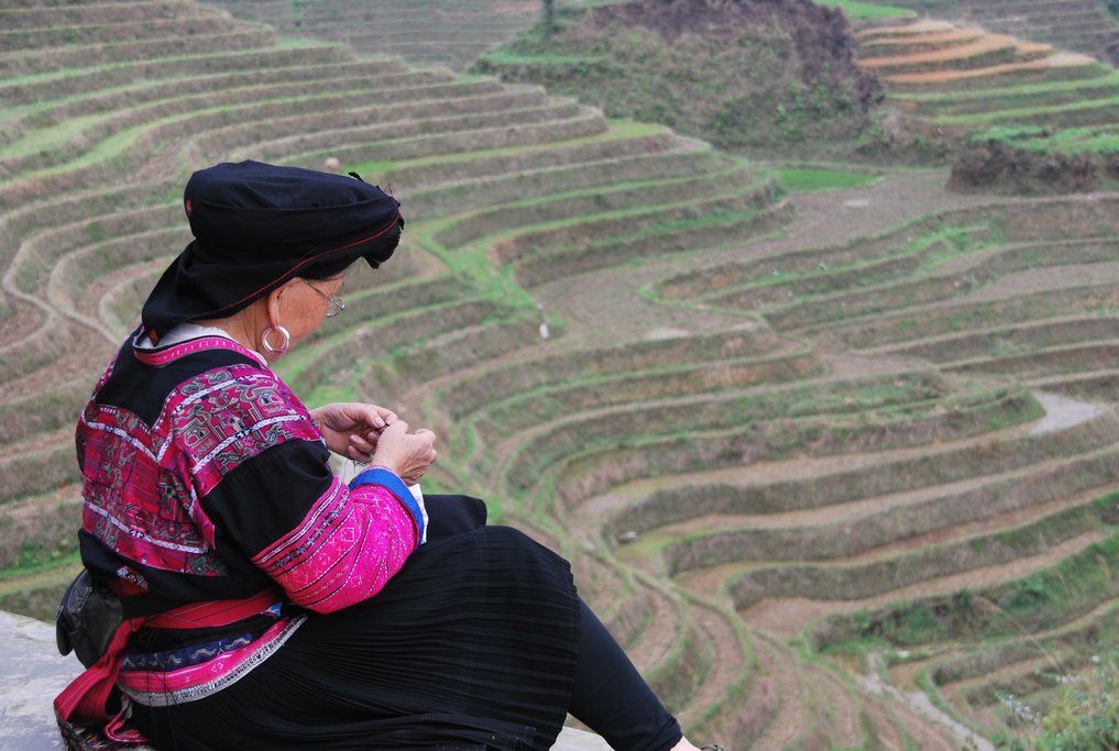 Longsheng Rice Terraces resemble a dragon's scales