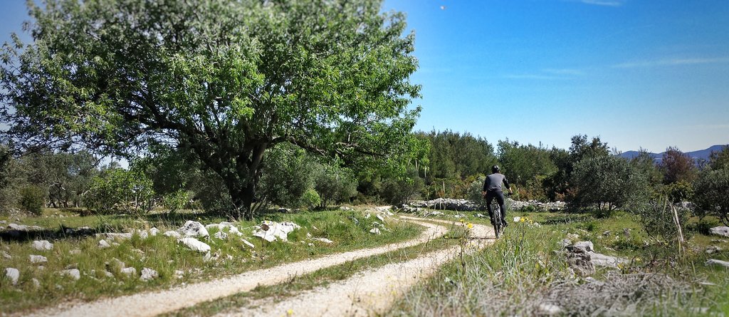 Cycling inland on Korčula