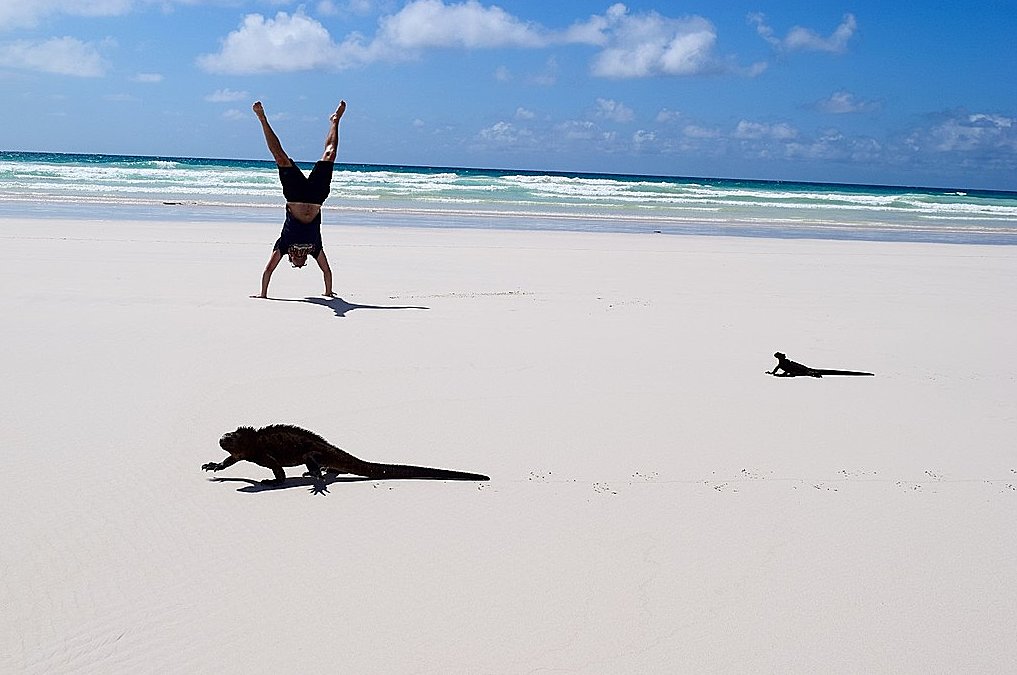 Pristine beach of Tortuga Bay