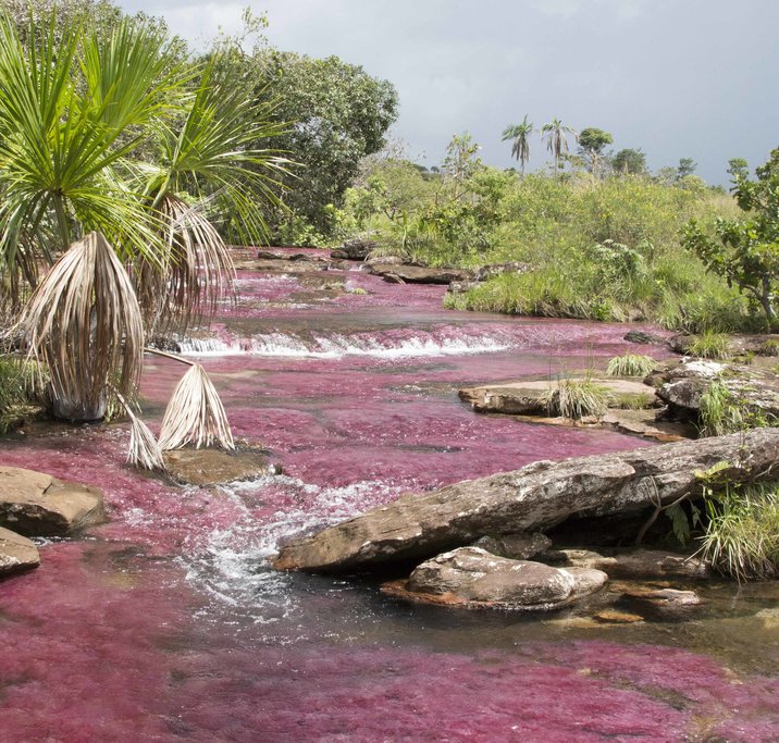 Tranquilanda, Colombia