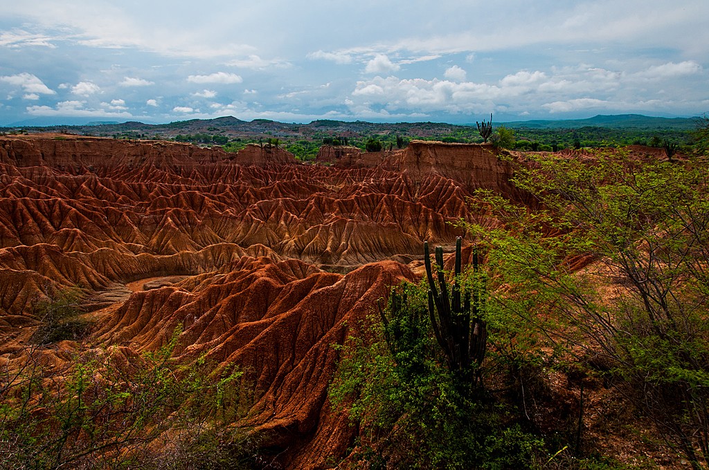The arid landscapes of the Tatacoa Desert