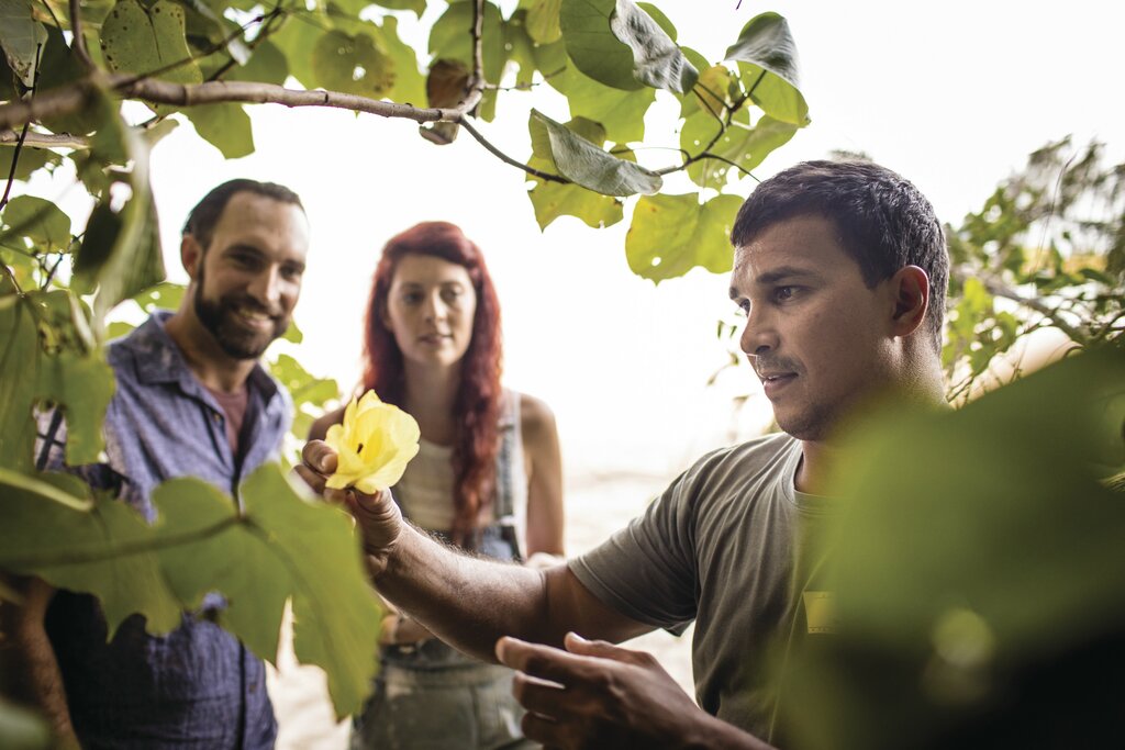 Daintree Indigenous Guided Tour