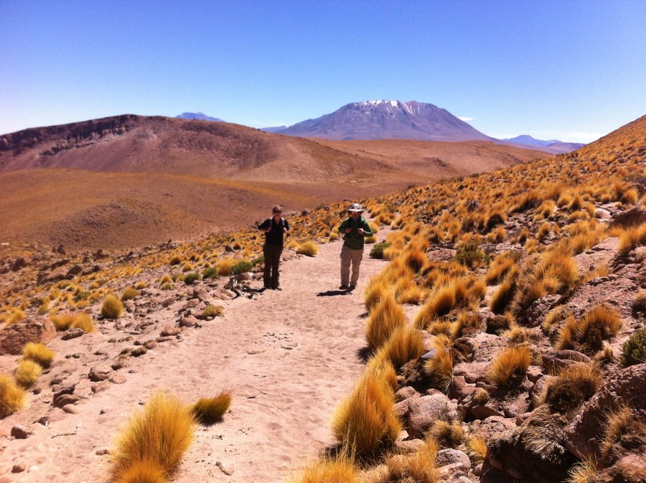 Hiking amid the desert landscape near Copa Coya