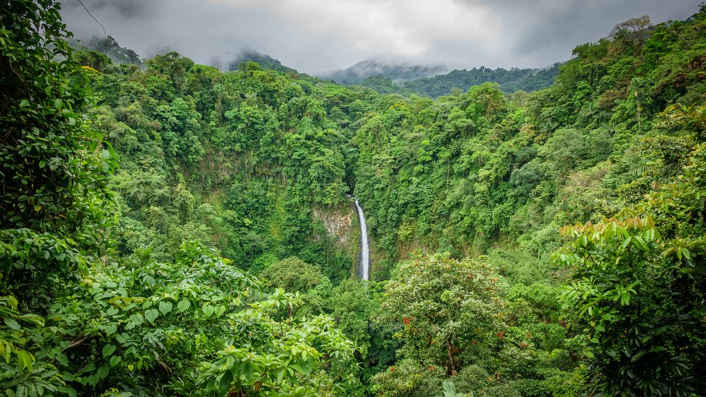 La Fortuna Waterfall