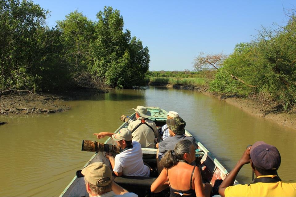 Sightseeing cruise on Halation River