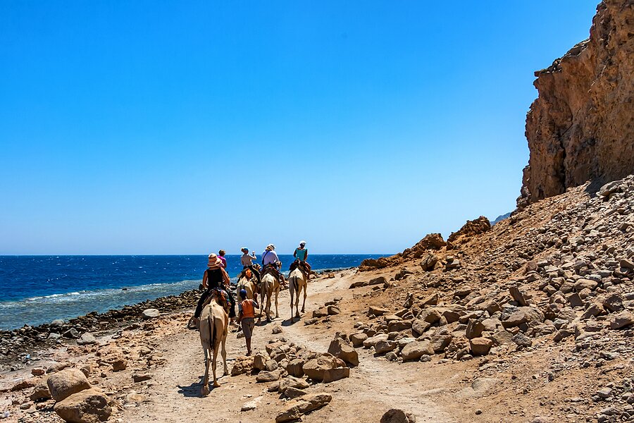 Ride camels in Abu Galum