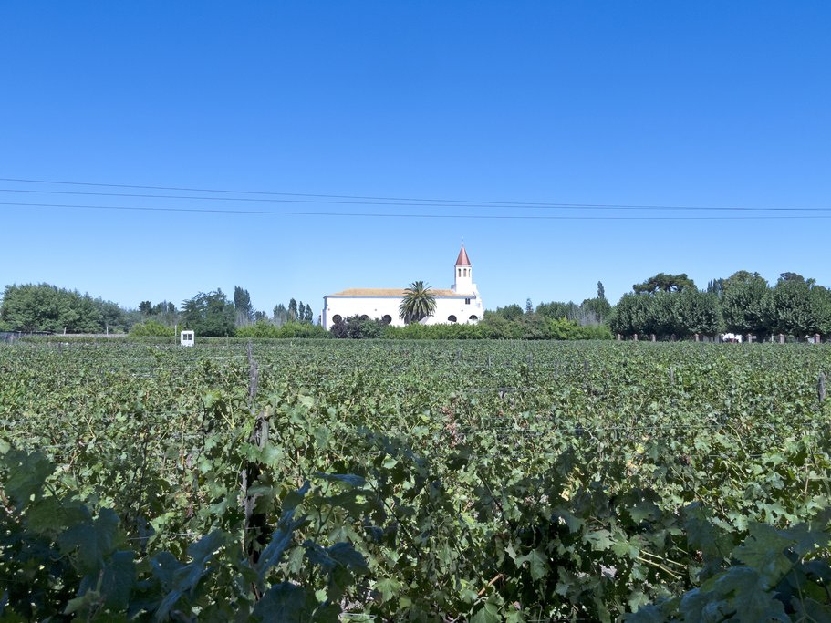 The Maipo Valley is the closest wine region to the capital, Santiago