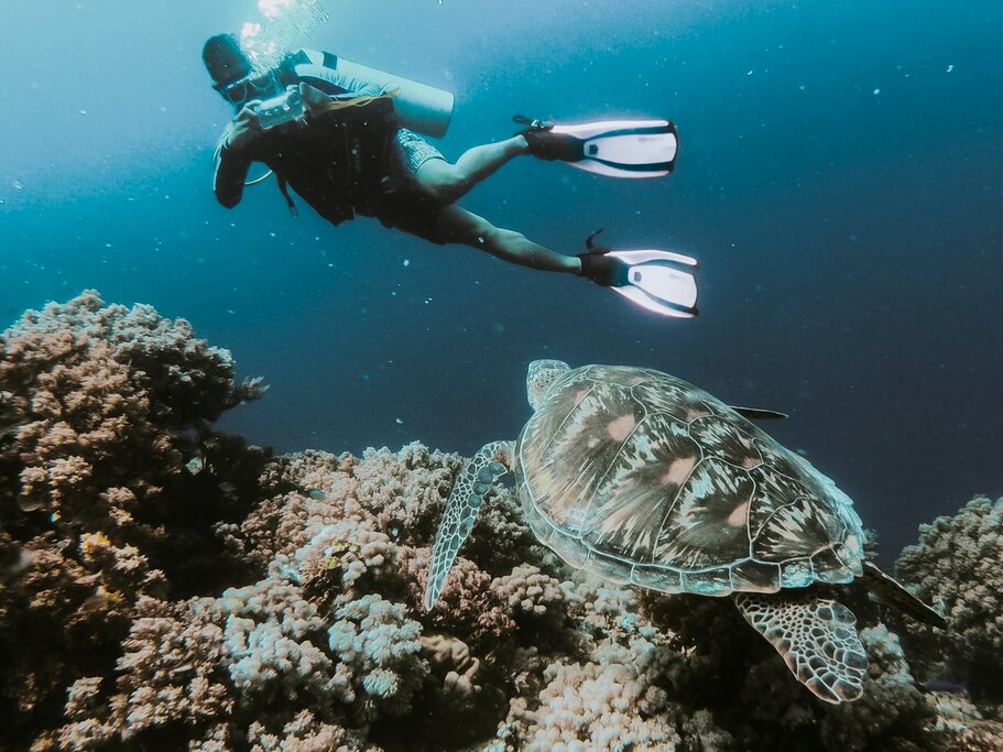 Scuba diving in the Galápagos