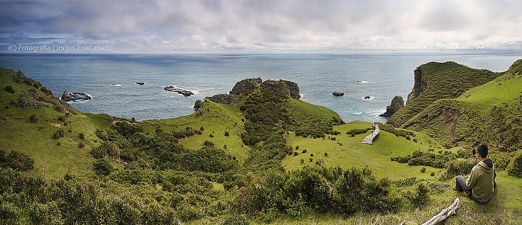 Punta Pirulil, Chiloé National Park