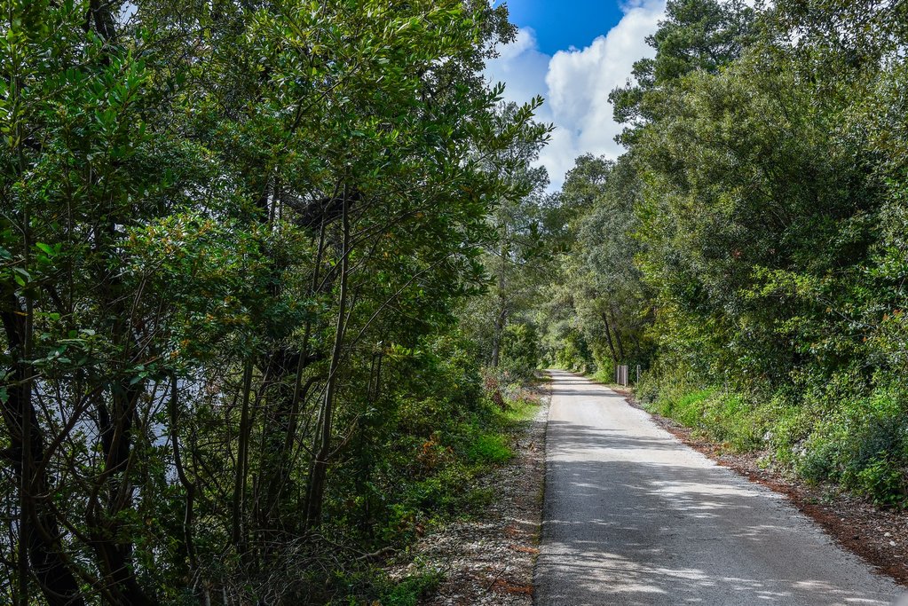 Coastal road from Ston