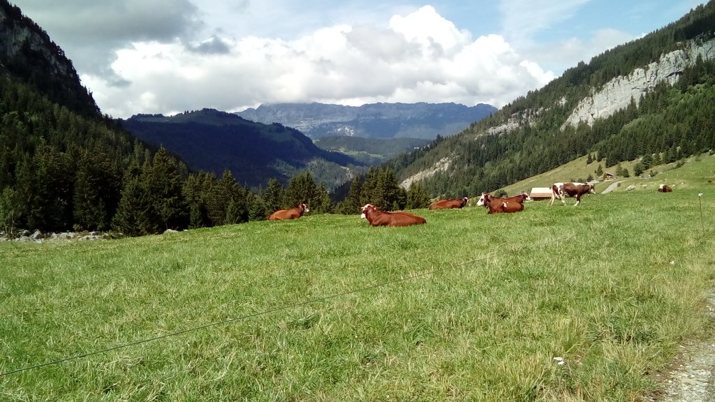 Col des Aravis
