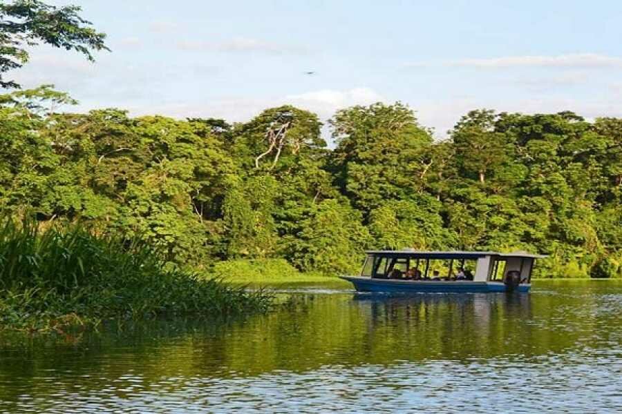 Tamarindo Mangrove & Estuary Boat Tour