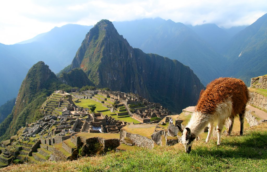 Machu Picchu