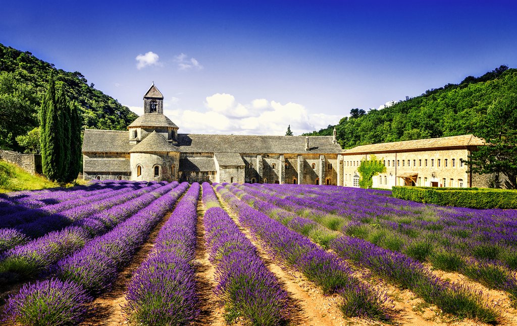 Abbaye Notre-Dame de Sénanque, Gordes, France