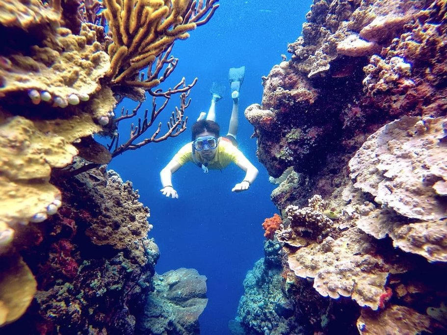 Snorkeling around Menjangan Island