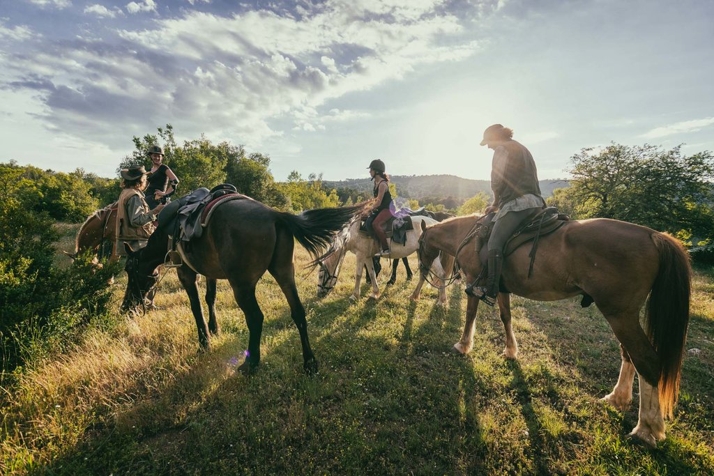 Horse hike