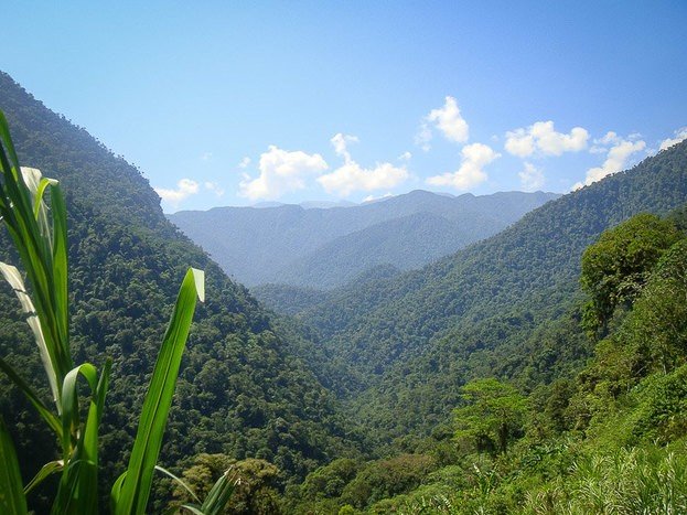 Views on the trail on the way to the Lost City