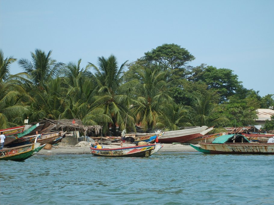 The Gambian coast