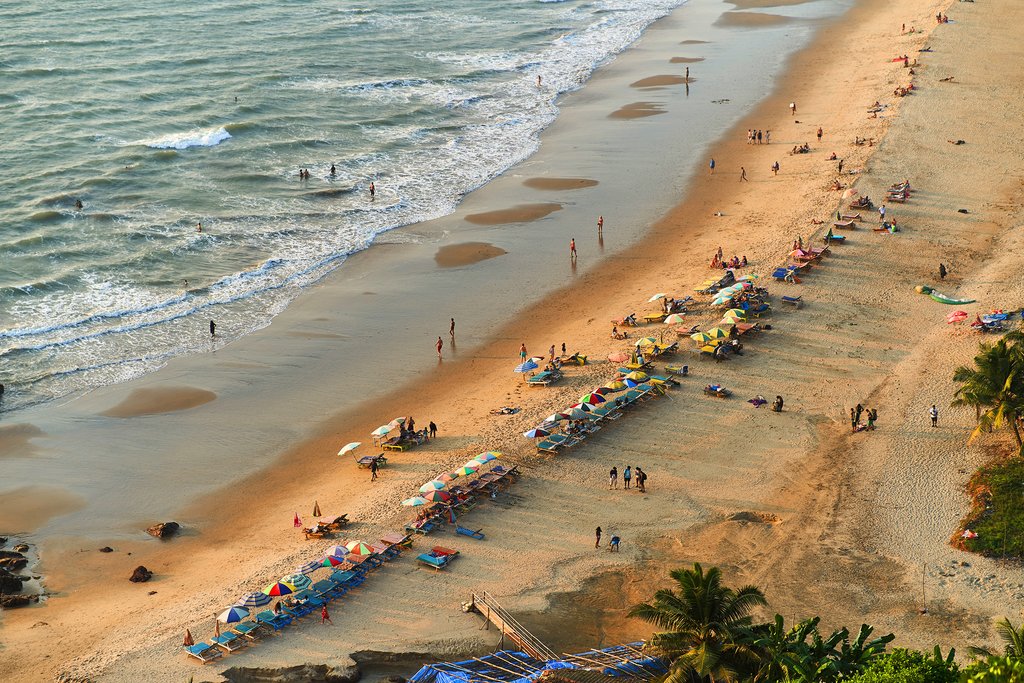 Beauty Wagh (Tiger) Arambol beach