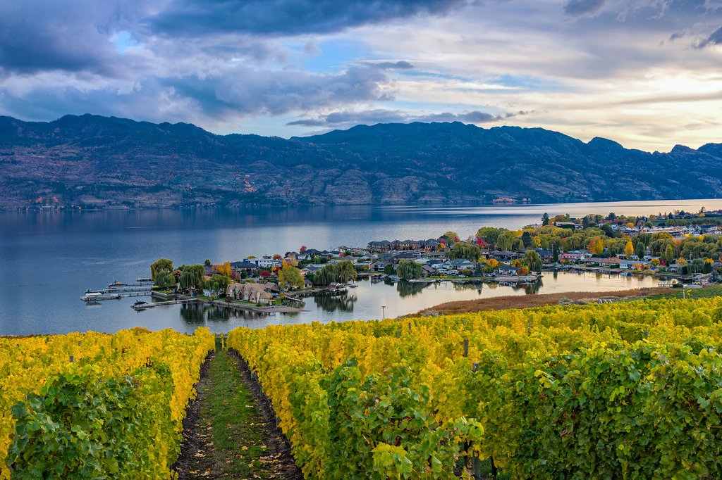 Vineyards overlooking Kelowna and Okanagan Lake