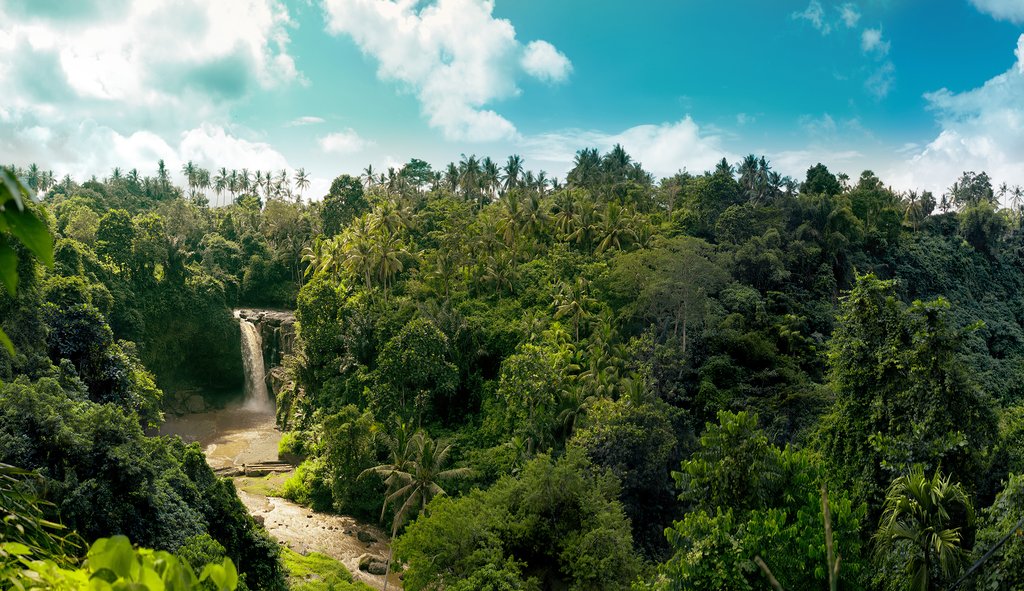 Waterfall in the rainforest